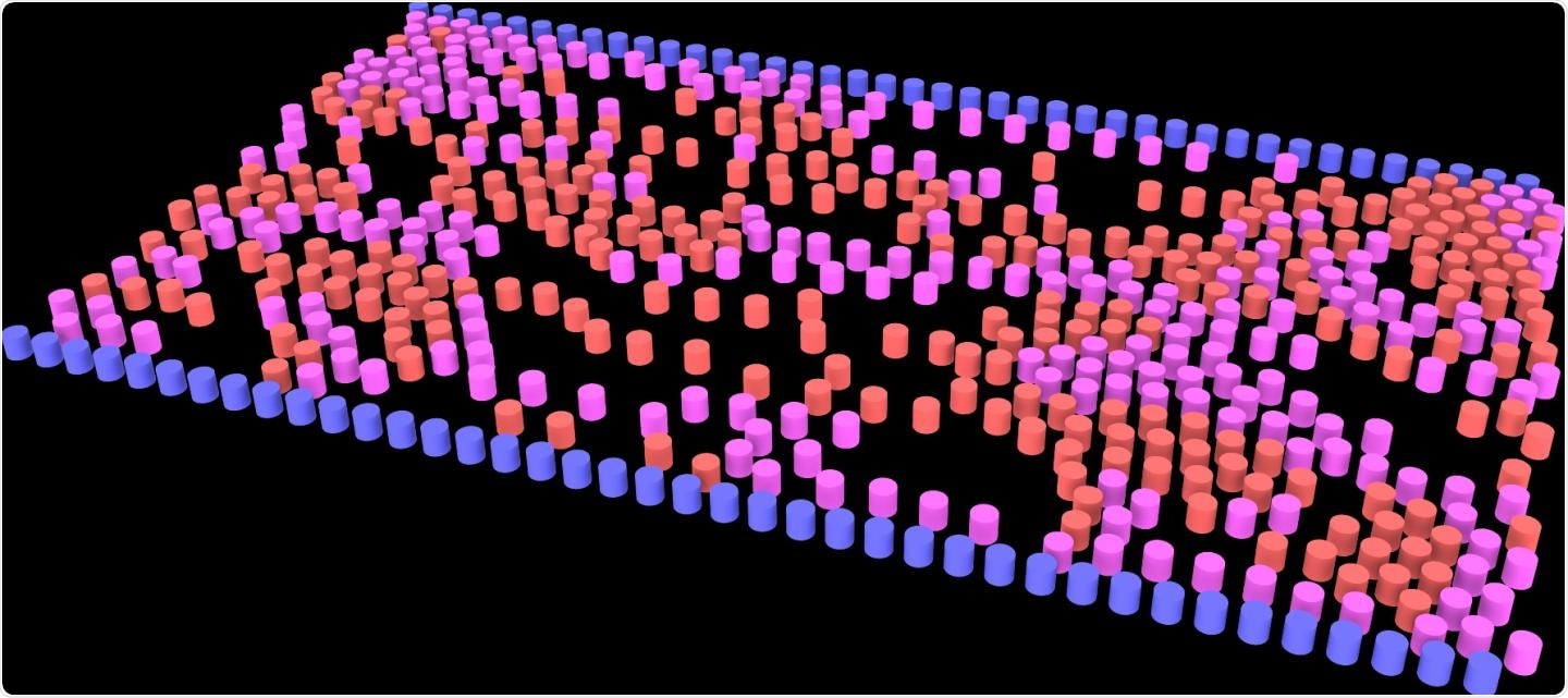 Simulation of pedestrian counterflow (red and pink particles) confined within a hallway (blue boundary), under conditions of weak social distancing.  CREDIT Kelby Kramer and Gerald J. Wang