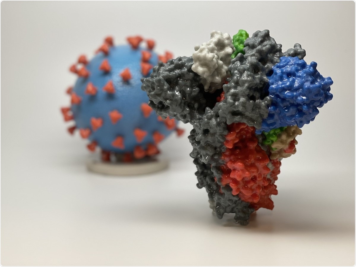 Novel Coronavirus SARS-CoV-2 Spike Protein. 3D print of a spike protein of SARS-CoV-2—also known as 2019-nCoV, the virus that causes COVID-19—in front of a 3D print of a SARS-CoV-2 virus particle. The spike protein (foreground) enables the virus to enter and infect human cells. On the virus model, the virus surface (blue) is covered with spike proteins (red) that enable the virus to enter and infect human cells. Image Credit: NIAID / Flickr