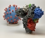 Modified SARS-CoV-2 receptor-binding domain could increase vaccine efficacy, says study