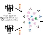 Most SARS-CoV-2-infected individuals develop durable B cell-mediated immunity