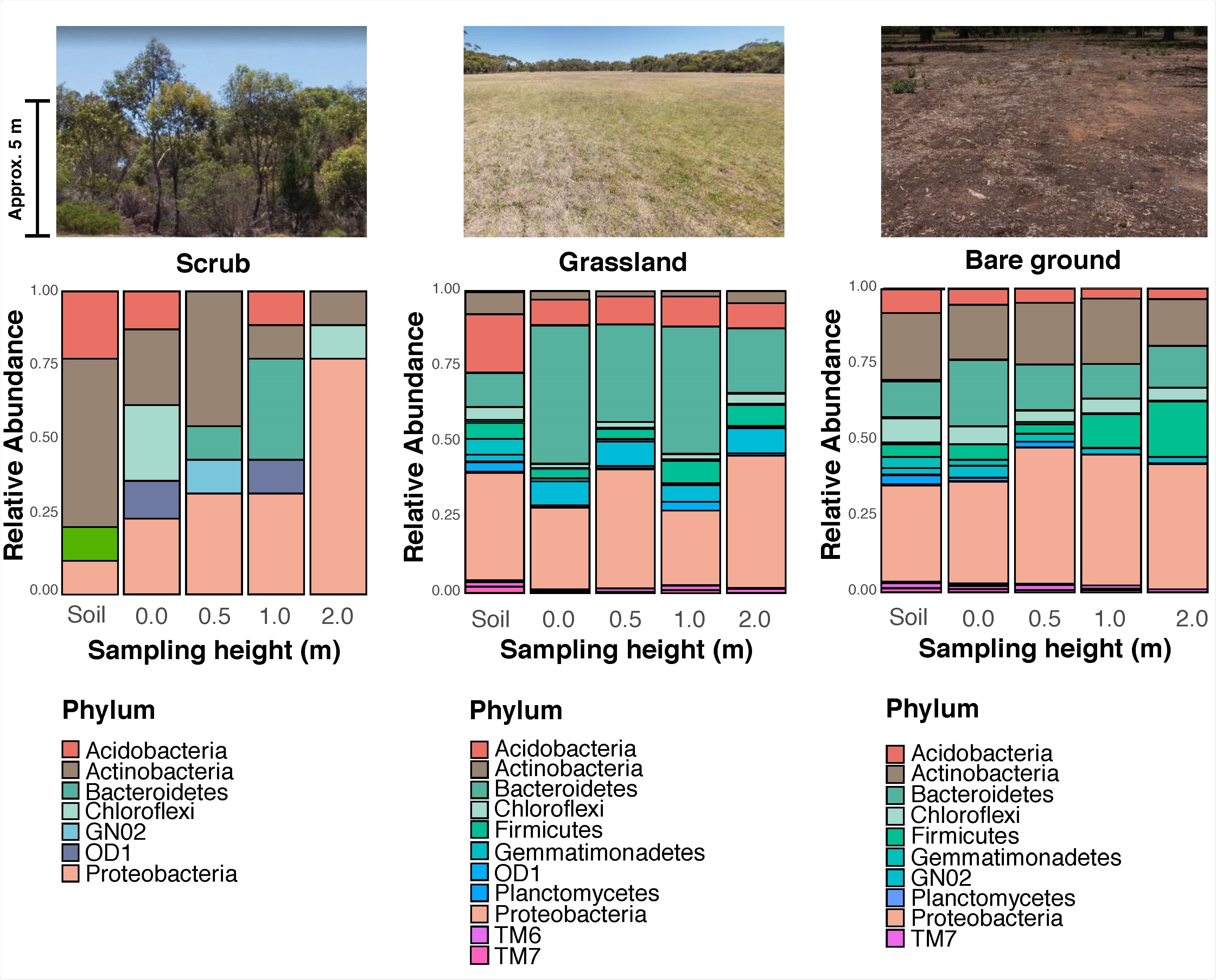 Profile of bacterial communities from each habitat at the phylum level. The coloured area of each bar represents the relative abundance of the corresponding phylum over 1%. The X-axis displays sampling heights: soil, 0.0 m, 0.5 m, 1.0 m, and 2.0 m (from left to right). The photographs above the plots show examples of each habitat used in the study (photographs by authors).