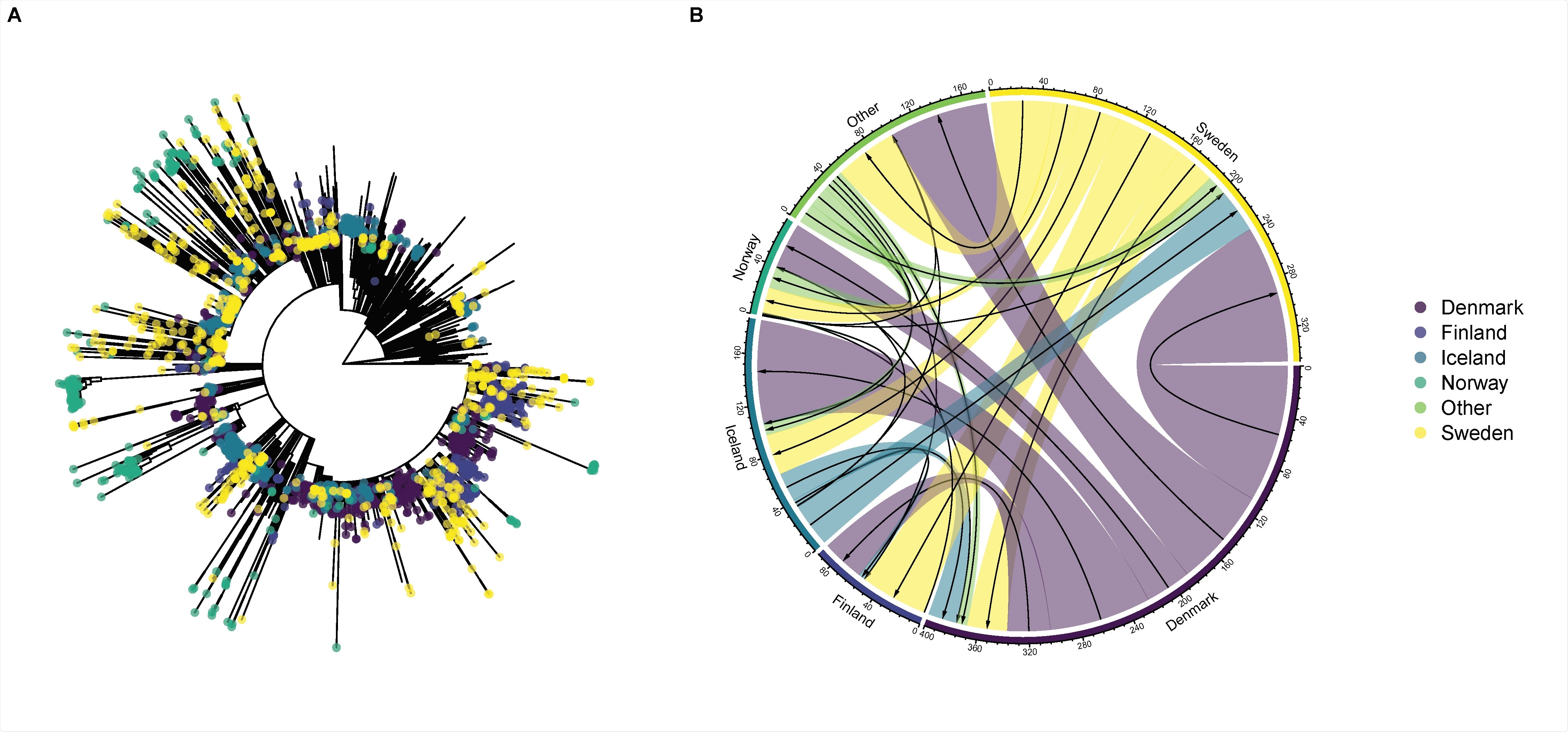 Phylogenetic tree of SARS-CoV-2 from Nordic countries as well as global genetic diversity. The tips are coloured according each Nordic country (panel A). Circular migration diagram of migration events between the five Nordic countries and other locations. The size of the coloured arrows denotes the posterior mean number of inferred migration events from the Bayesian phylogeographic analysis. The black arrows represent the migration direction (Panel B).