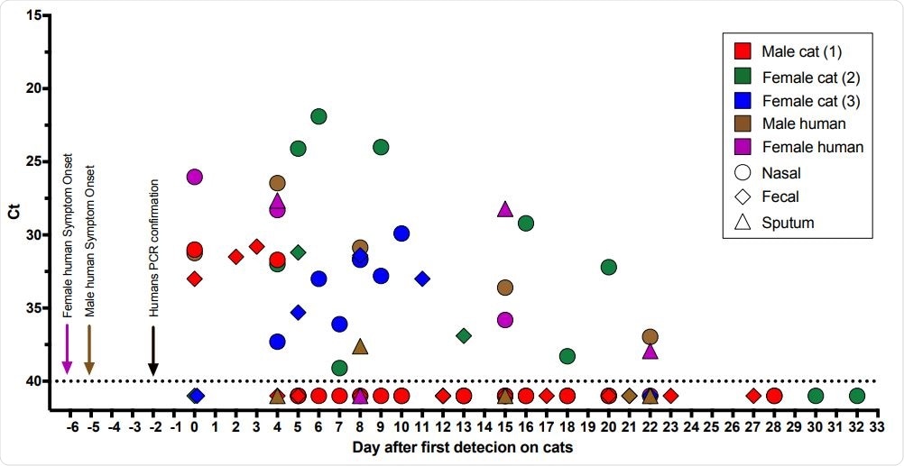 RNA detection of SARS-CoV-2. The horizontal axis represents the sampling date. Nasal swabs (circle), fecal samples (diamond), and sputum (triangle) samples are colored per individual. Negative samples are illustrated as Ct 41 (below the dotted line). Arrows with the corresponding caption colors indicate the day of symptom onset and the date of the SARS-CoV-2 diagnosis of humans.