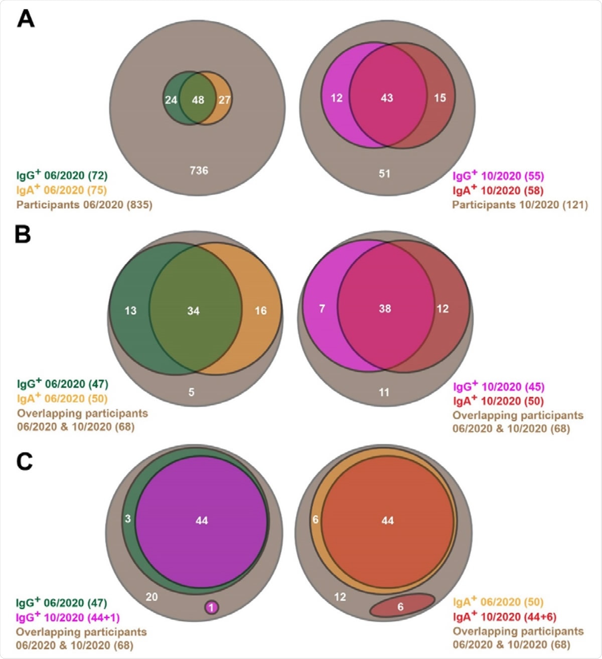 Venn diagrams showing SARS-CoV-2-specific antibody prevalence in the pilot (06/2020) and the follow-up (10/2020) studies. (A) All participants of both studies are shown here. (B, C) Only the participants are considered here, which are involved in both the pilot and follow-up studies.