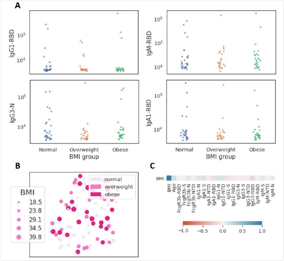 Limited influence of BMI on SARS-CoV-2 antibody profiles (n=77). (A) The dot plots show similar mean fluorescent intensity levels of IgG1, IgM, IgG3, and IgA levels across individuals classified as normal weight (n=29), overweight (n=23), and obese (n=25). (B) The uniform manifold approximation and projection (UMAP) shows the relationship between antibody profiles and BMI (dot size, color intensity), highlighting the limited influence of BMI on shaping SARS-CoV-2 antibody responses. (C) Correlation plot of shows limited correlation between BMI and 20 immunological features.