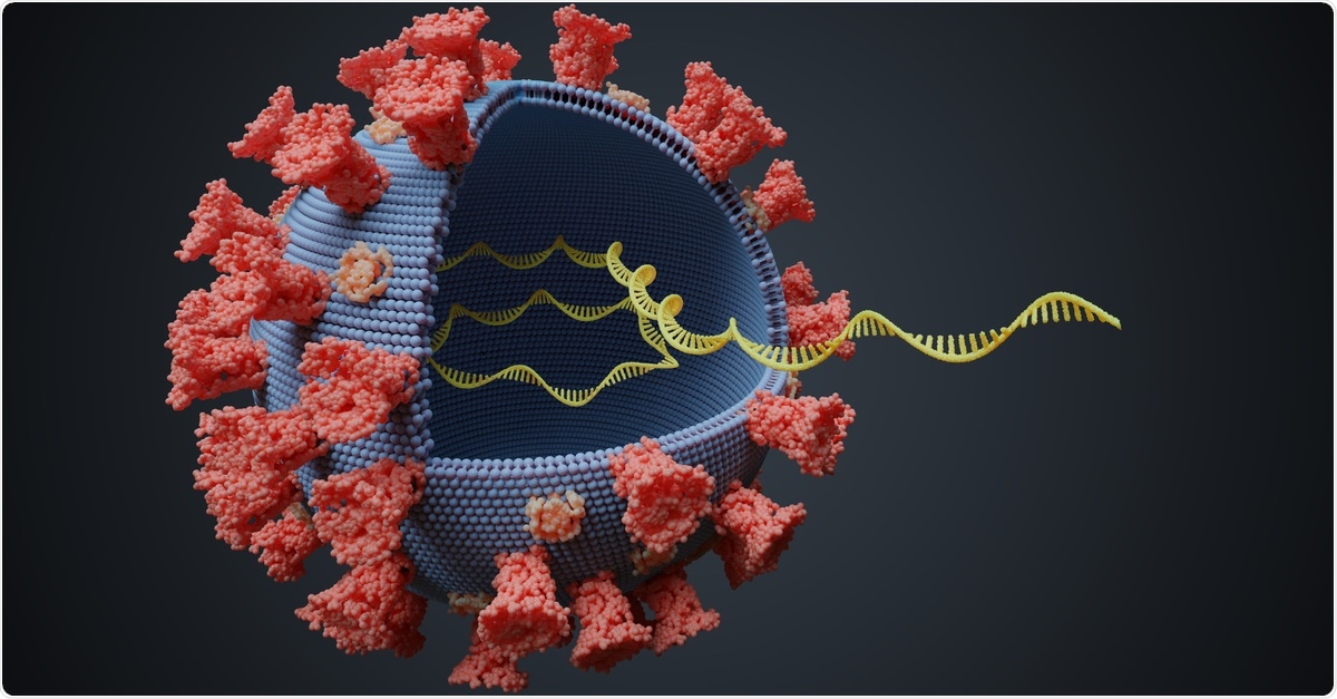 3D rendering of SARS-CoV-2 microbe with RNA molecule inside. Image Credit: Vchal / Shutterstock