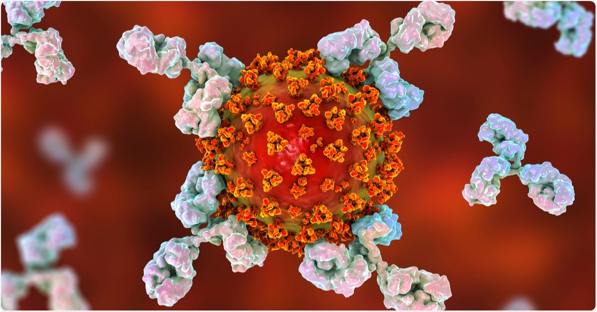 Study: Evolution of Antibody Immunity to SARS-CoV-2. Image Credit: Kateryna Kon / Shutterstock.