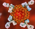 Robust antibody response to SARS-CoV-2 can persist for eight months, study finds