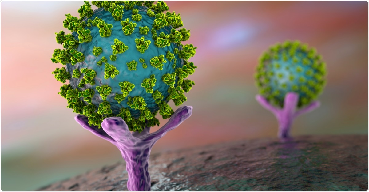 SARS-CoV-2 viruses binding to ACE-2 receptors on a human cell, the initial stage of COVID-19 infection, conceptual 3D illustration. Image Credit: Kateryna Kon / Shutterstock.