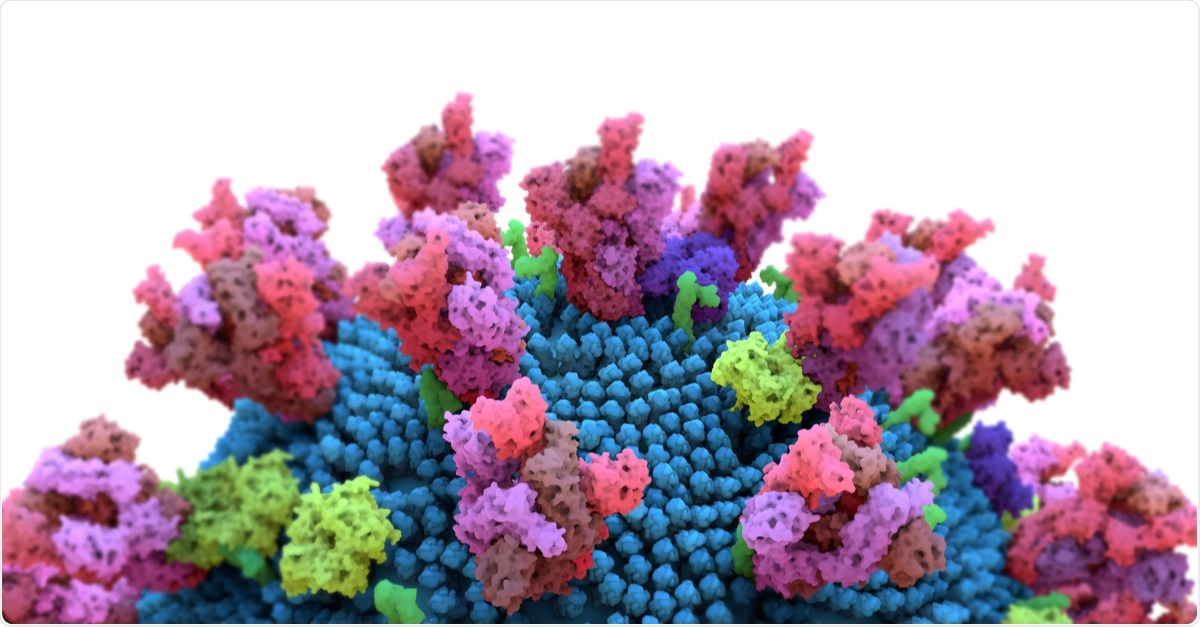 Image of the coronavirus spike protein that mediates coronavirus entry into host cell. 3d illustration. Image Credit: Design_Cells / Shutterstock