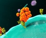SARS-CoV-2 causes a unique cytokine storm, study finds