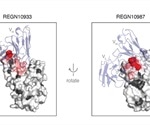 COVID-19 mutation mapping identifies escape mutations against therapeutic antibodies