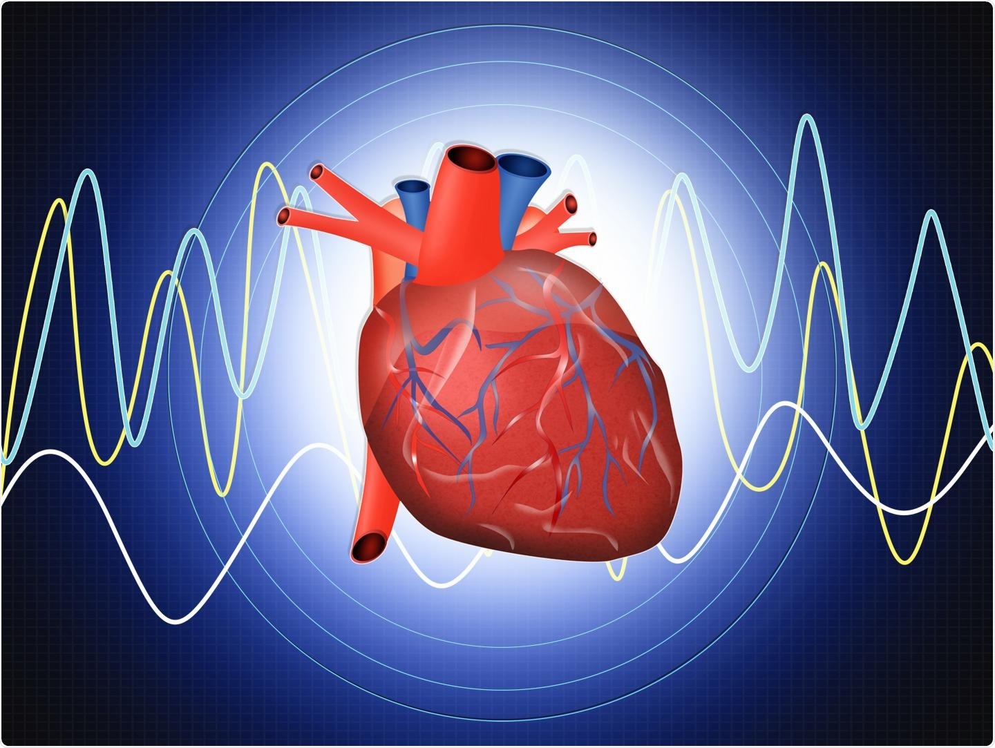 Researchers identify new biomarkers associated with incident heart failure