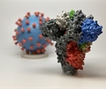 SARS-CoV-2 spike-antibody binding strength and hydrogen bond numbers are temperature dependent, study finds