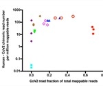 SARS-CoV-2 RNA can be reverse-transcribed to be part of chimeric viral-human genome