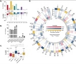 RNA editing within host linked to SARS-CoV-2 variants