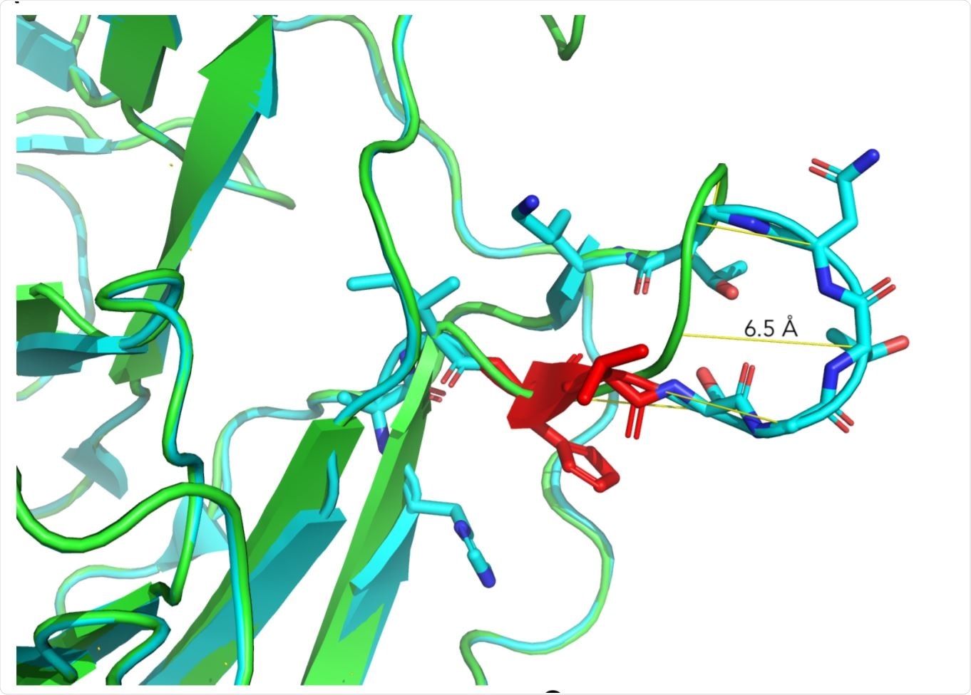 Structural aspects of ΔH69/V70