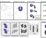 Novel modular design approach to antibody nanocage generation