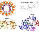 Molecular simulations reveal that remdesivir targets two SARS-CoV-2 enzymes