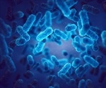 What is Bacterial Pathogenesis?