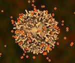 SARS-CoV-2 mutations may evade T cell immunity