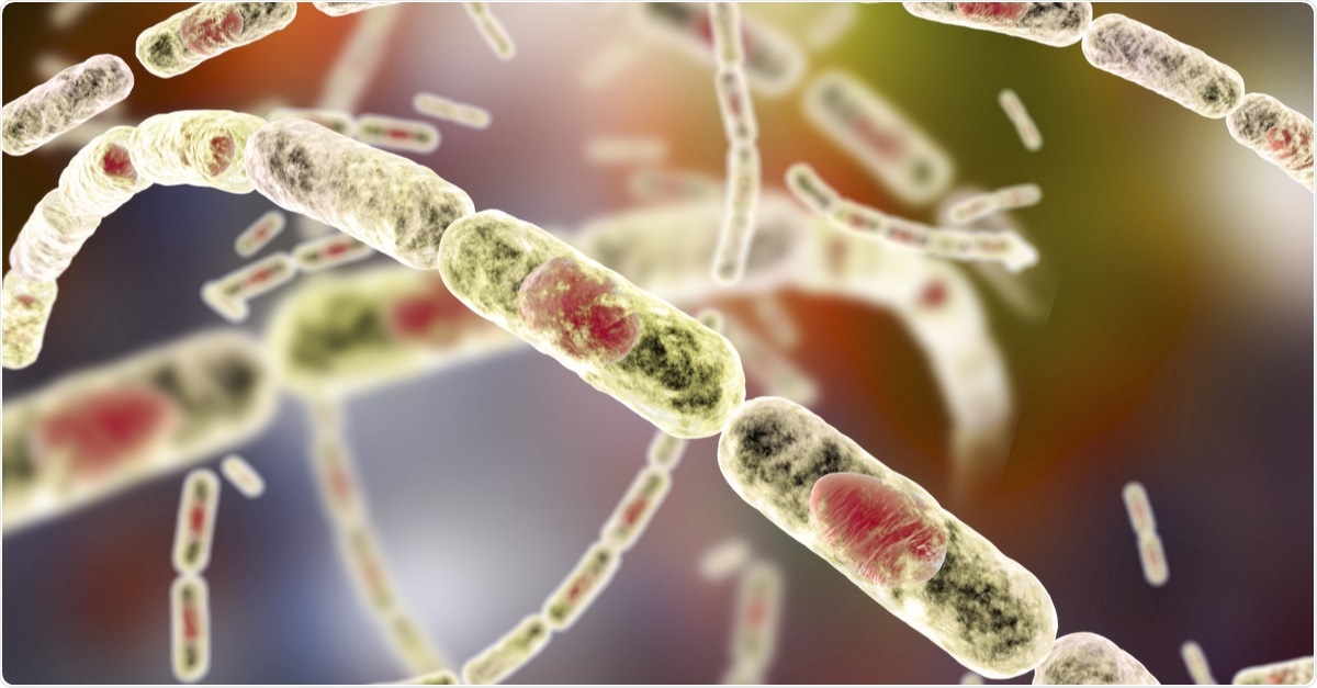 Bacillus anthracis, gram-positive spore forming bacteria which cause anthrax and are used as biological weapon, 3D illustration. Image Credit: Kateryna Kon / Shutterstock