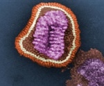 Unveiling the structure of the influenza virus