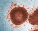 2019 coronavirus virus officially named COVID-19