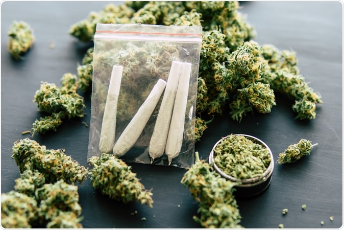 Cannabis is a generic term used to denote the several psychoactive preparations of the plant Cannabis sativa. The major psychoactive consituent in cannabis is ∆-9 tetrahydrocannabinol (THC). Compounds which are structurally similar to THC are referred to as cannabinoids. Image Credit: Lifestyle discover / Shutterstock