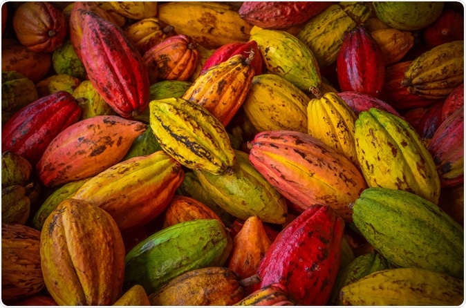 Cocoa pods. Image Credit: Andysartworks / Shutterstock