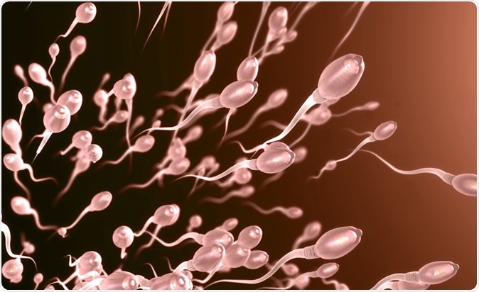 3d illustration of sperm cells. Image Credit: Christoph Burgstedt / Shutterstock