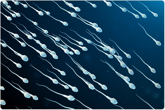3D illustration of sperm. Rost9 / Shutterstock