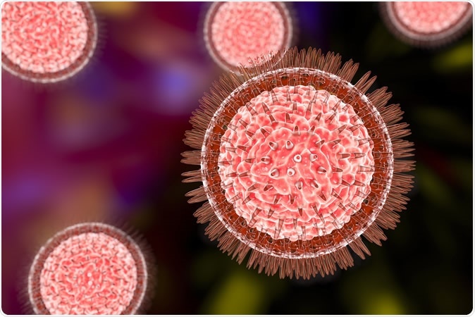 Zika virus. Kateryna Kon / Shutterstock