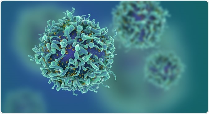 3D illustration of T cells or cancer cells. Ige Credit: Fusebulb / Shutterstock