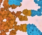 Scientists isolate individual cells that cause autoimmune disease