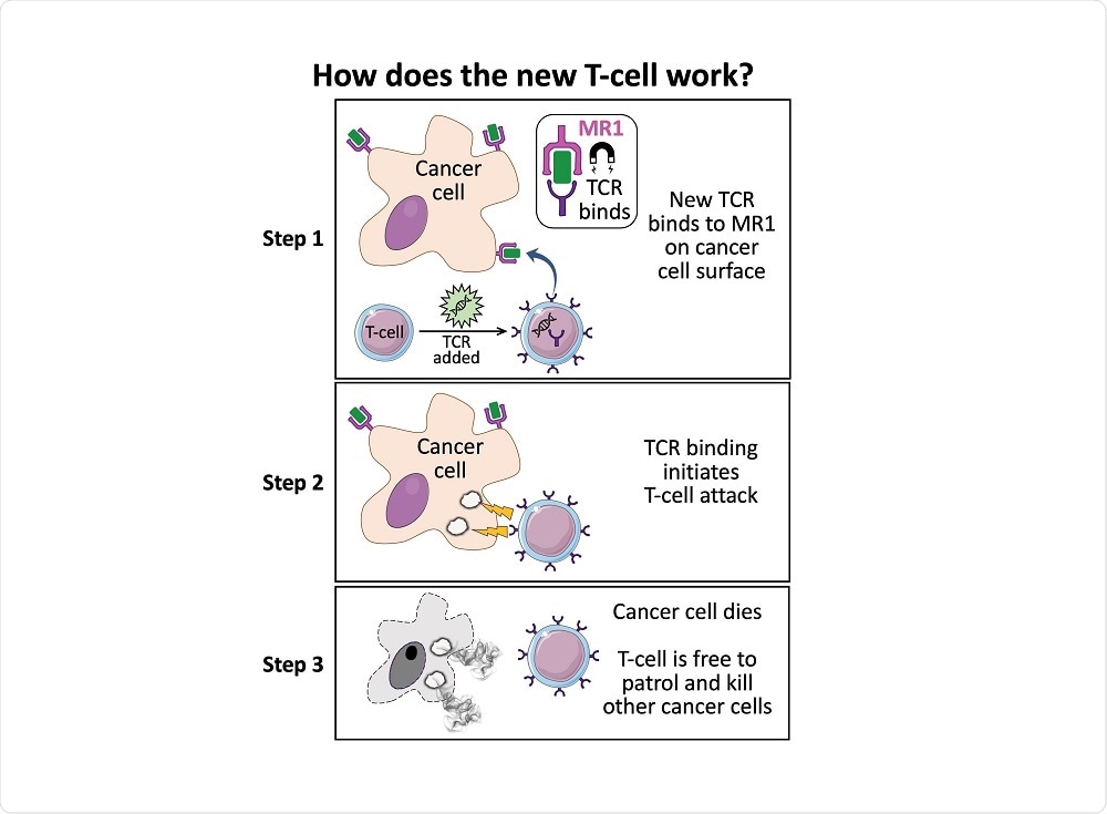 T-Cell Treatment