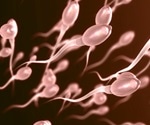 Healthy diet, healthier sperm, greater fertility