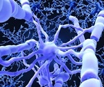 Nerve insulation renewed to create long-term learning