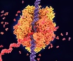 What is RNA?