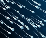 Sperm microbiome revealed with RNA sequencing