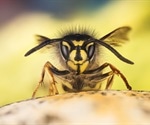 Gut microbes in wasps help overcome pesticides