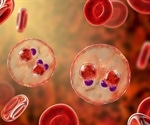 How malaria evades the body’s immune response