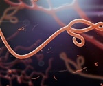 Individual response to Ebola predicted by new method