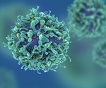 HIV antibody therapy improves immune function