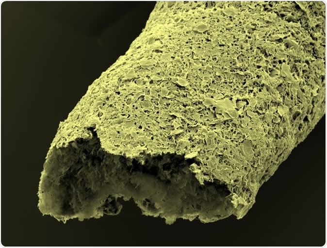Close-up of a tubular structure made by simultaneous printing and self-assembling between graphene oxide and a protein. Image credit: Professor Alvaro Mata