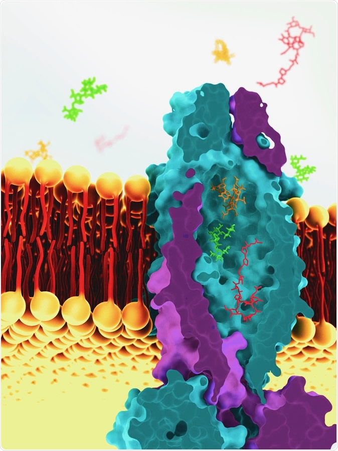 This is a reconstruction of the vitamin B12 transporter from Mycobacterium tuberculosis, based on cryoEM images. The transport molecule sits across the cell membrane of tuberculosis bacteria and helps to ferry molecules into the cell. Image Credit: Greg Stewart / SLAC National Accelerator Laboratory