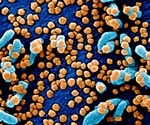 Researchers generate synthetic SARS-like bat coronavirus