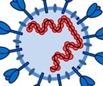 Scientists may have found a way to prevent coronavirus spread