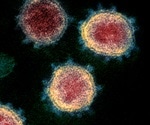 Coronavirus is mutating with a second strain identified by scientists