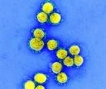 CDC launches coronavirus self-checker – an online triage system